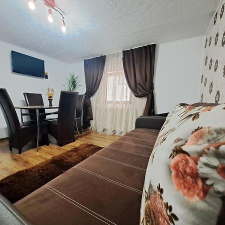סינאיה Shelby Accommodation -Adult Only- מראה חיצוני תמונה
