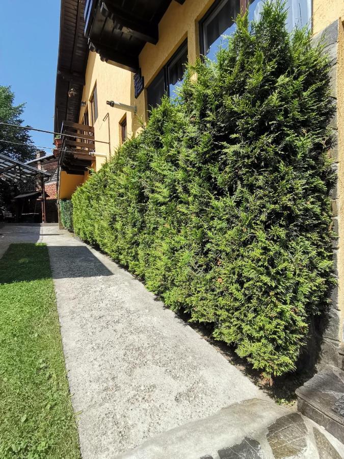 סינאיה Shelby Accommodation -Adult Only- מראה חיצוני תמונה