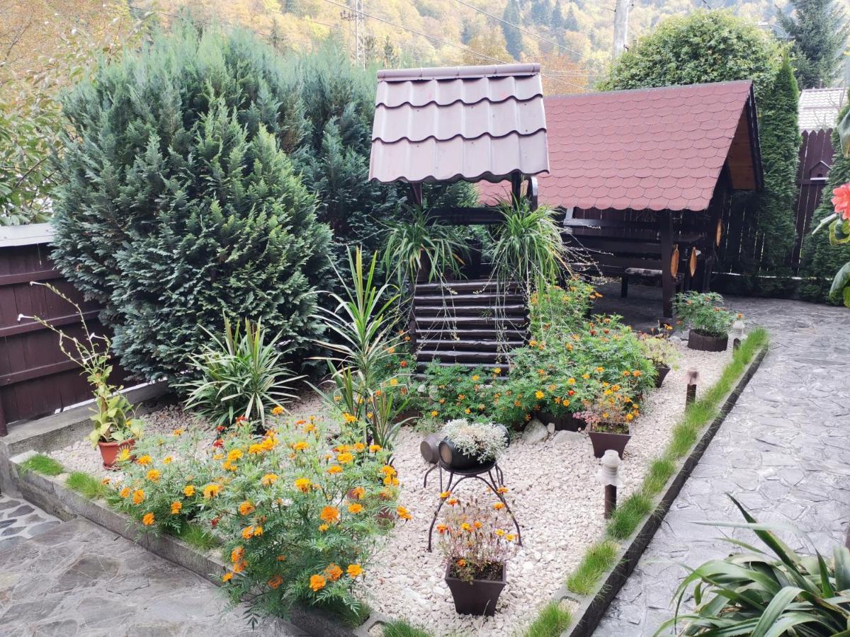 סינאיה Shelby Accommodation -Adult Only- מראה חיצוני תמונה