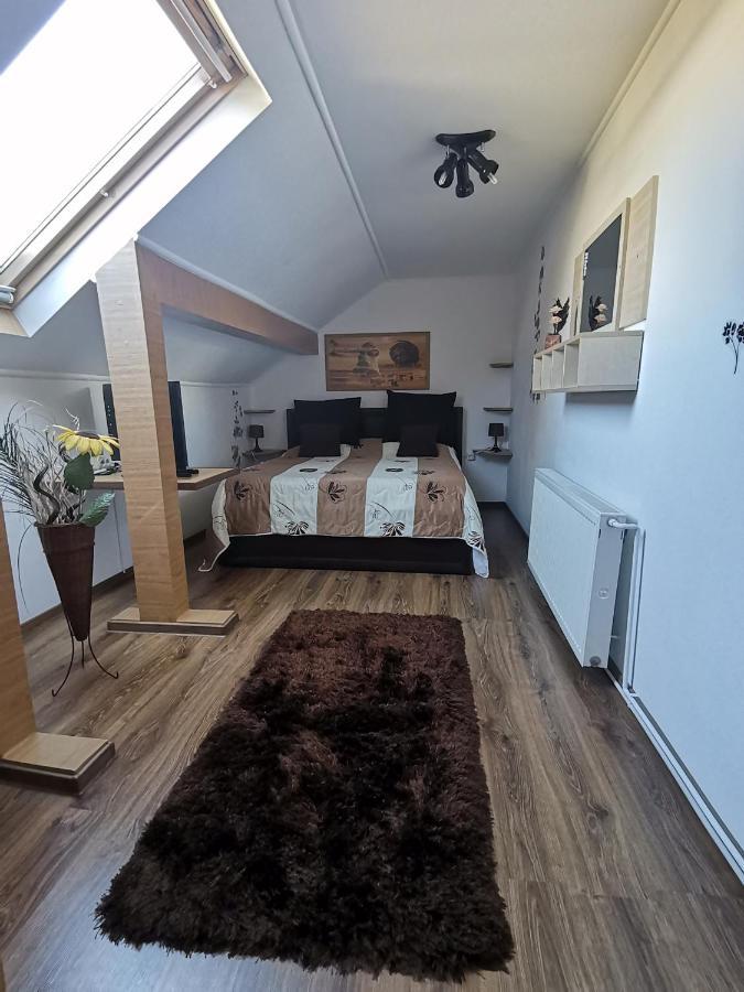 סינאיה Shelby Accommodation -Adult Only- חדר תמונה