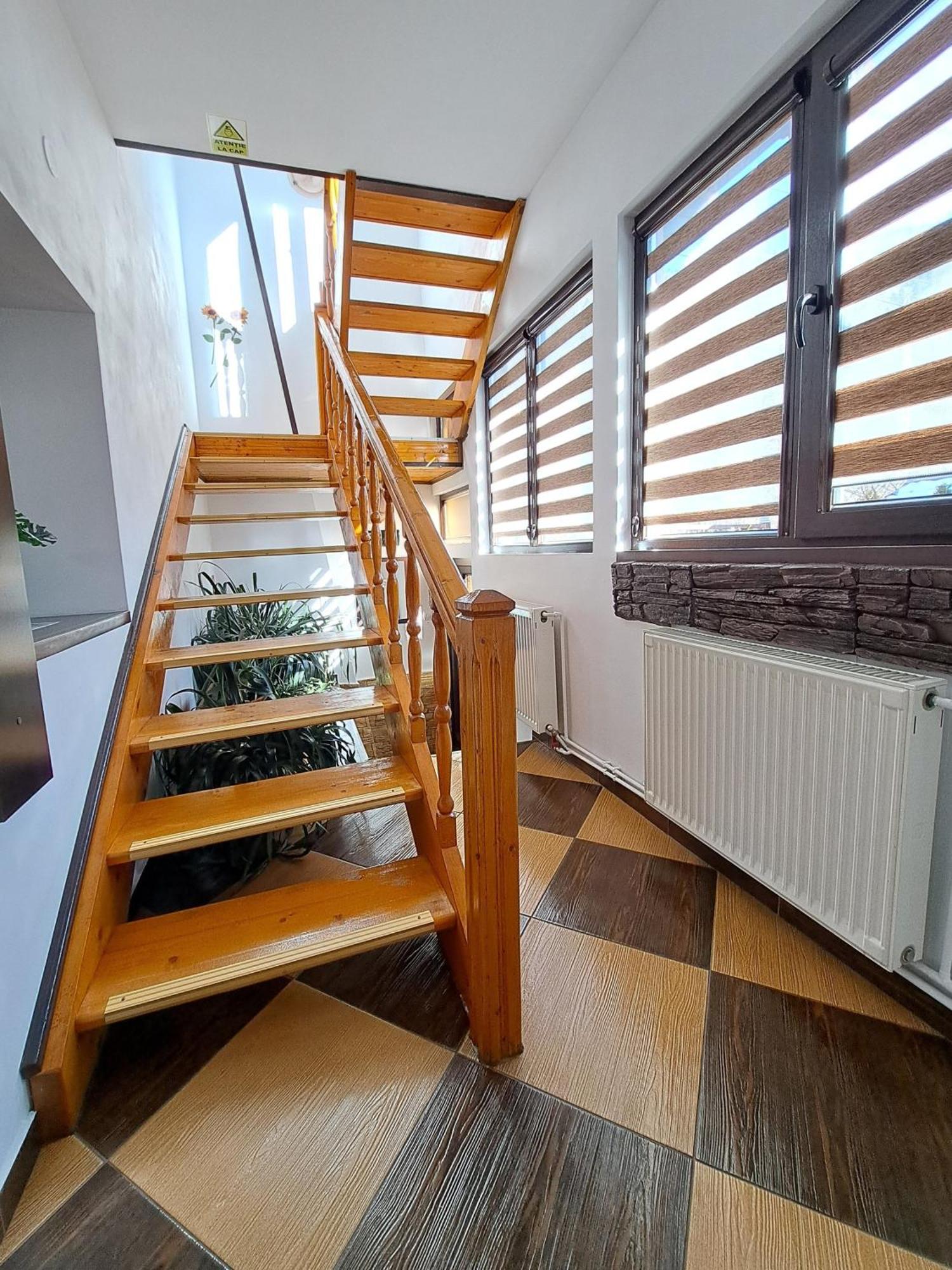 סינאיה Shelby Accommodation -Adult Only- מראה חיצוני תמונה
