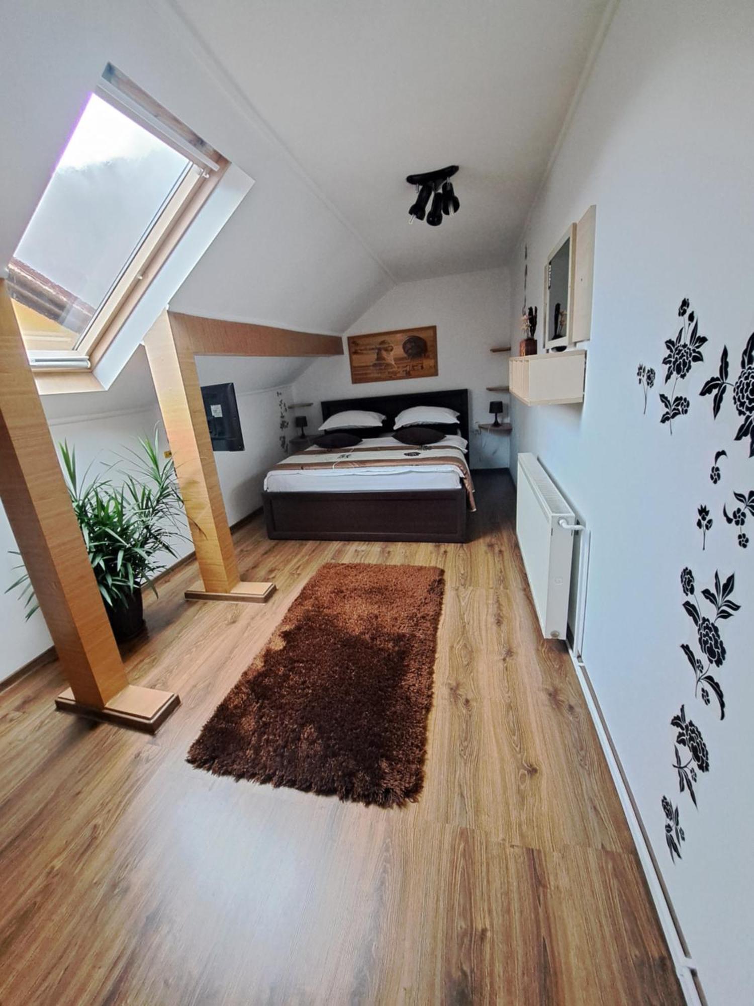סינאיה Shelby Accommodation -Adult Only- מראה חיצוני תמונה